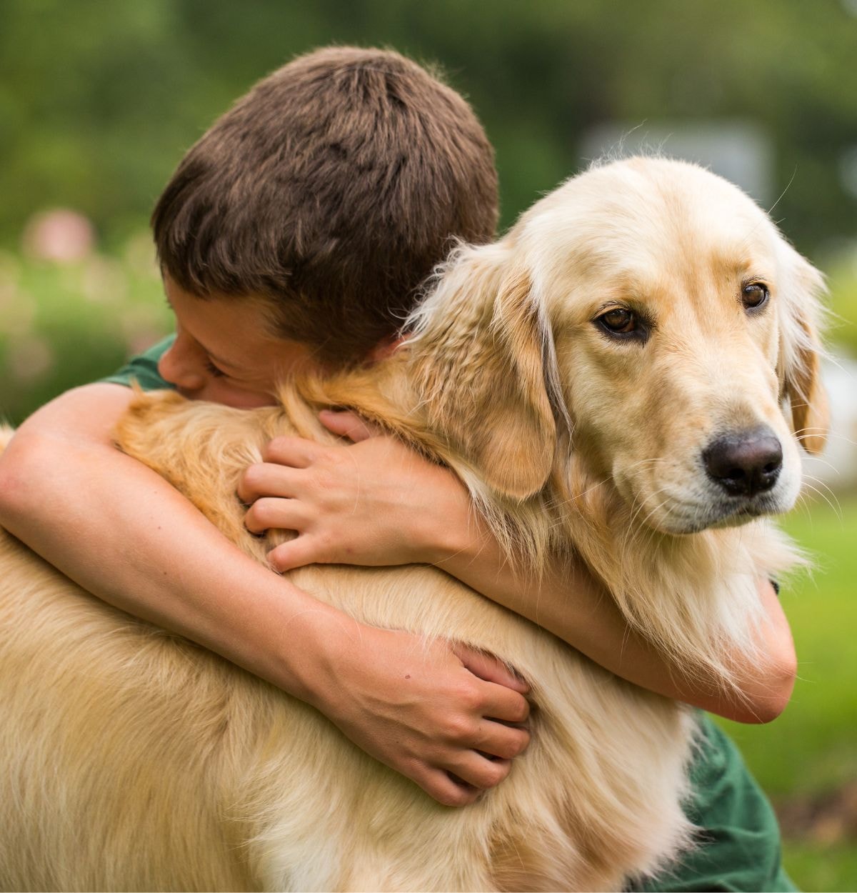 Child hugging a golden retriever outdoors